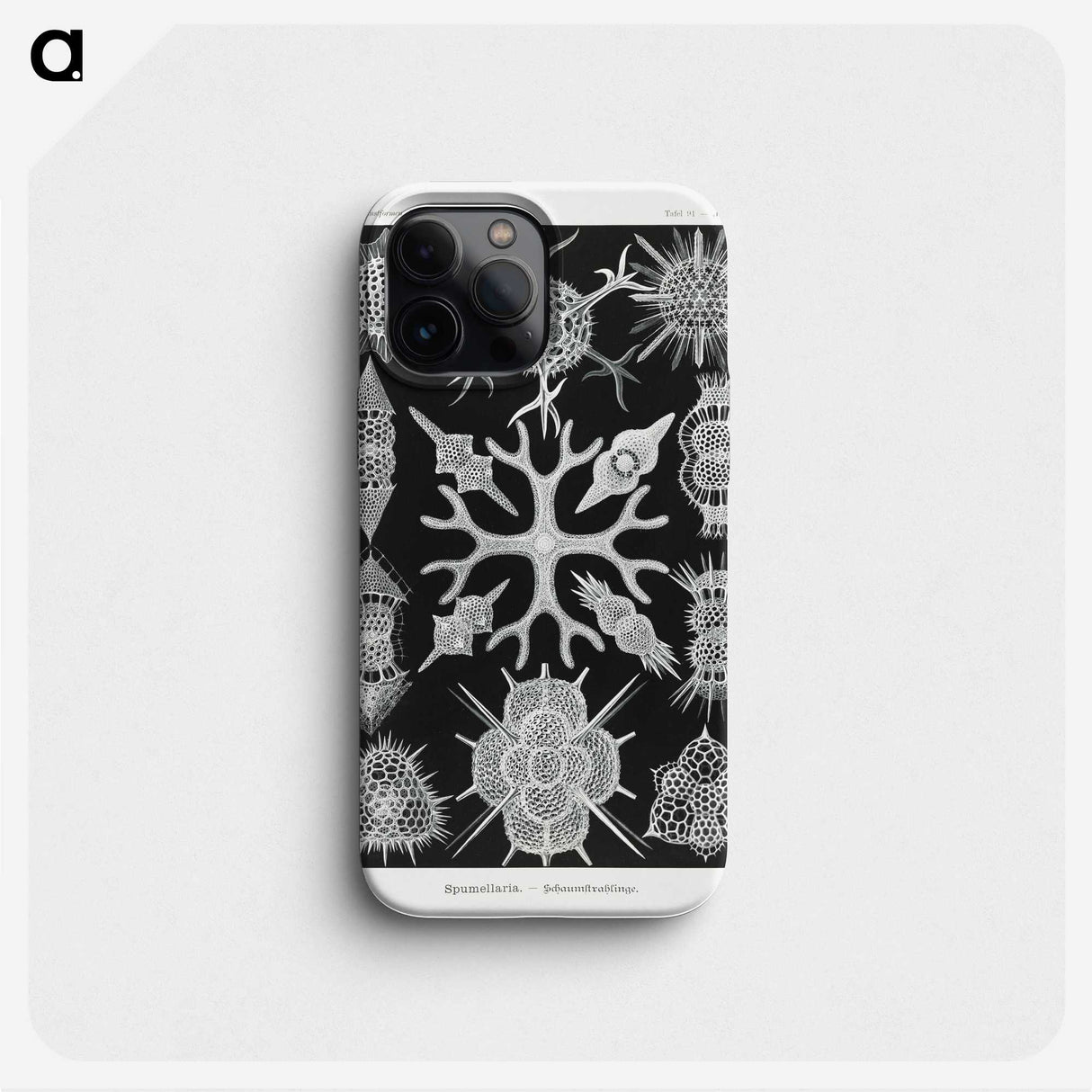 2-25_Ernst-Haeckel_phone
