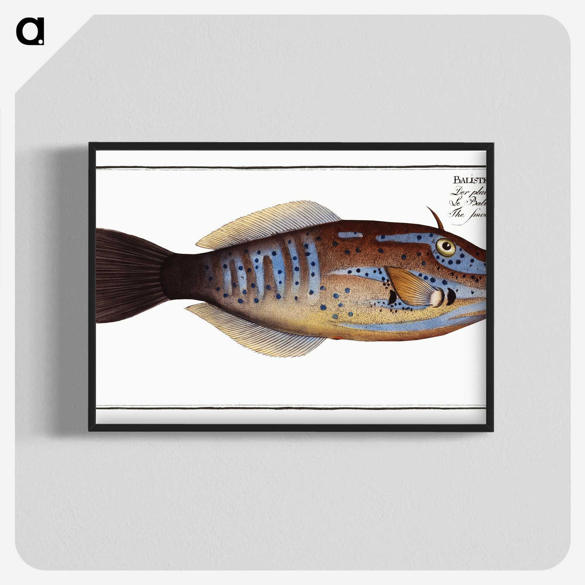 2-25_Ichtyologie-ou-Histoire-naturelle_blk-crop