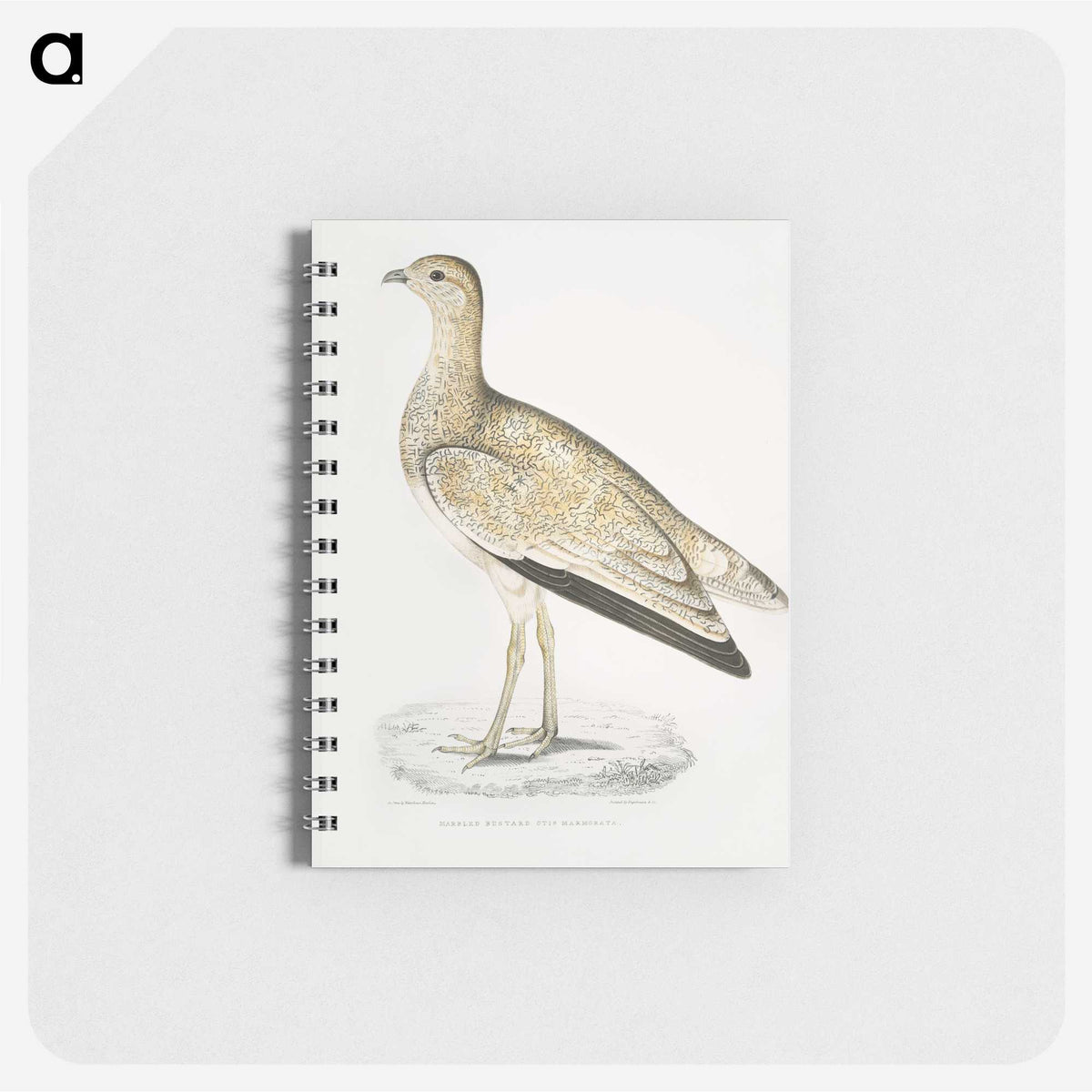 2-25_Indian-Zoology_memo