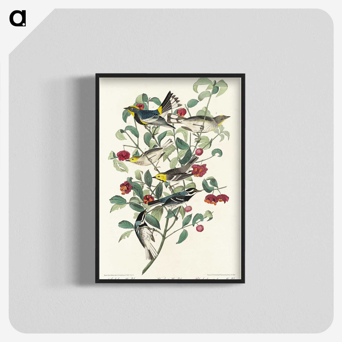 2-25_John-James-Audubon_blk-crop