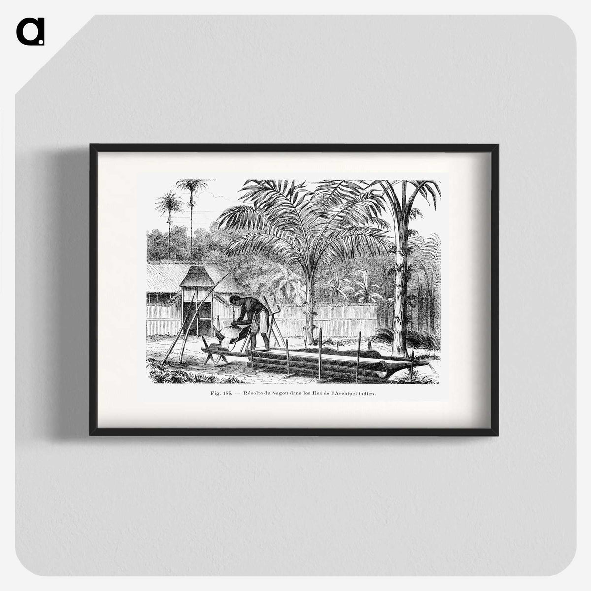 2-25_Les-Palmiers-Histoire-Iconographique_blk