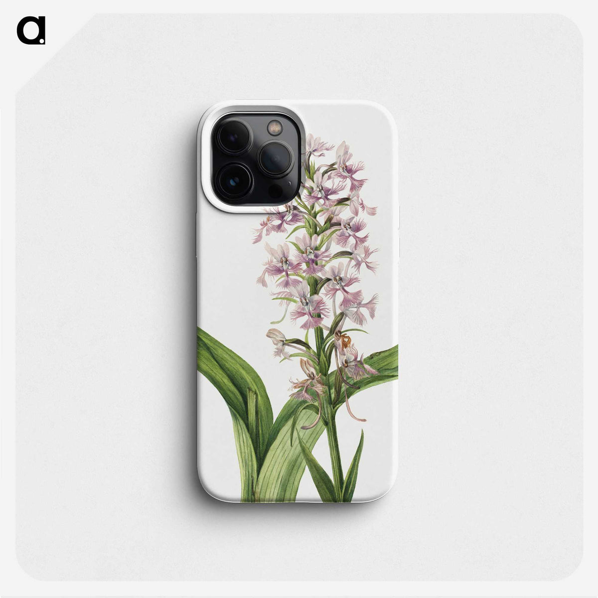2-25_Mary-Vaux-Walcott_phone