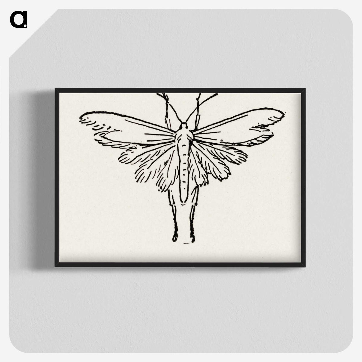 2-25_Moths-and-Butterflies-of-the-United-States_blk-crop