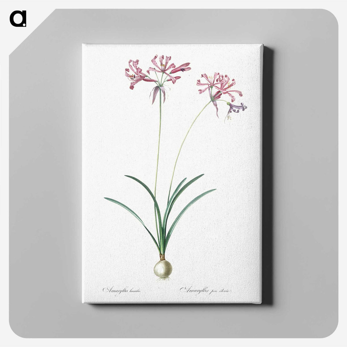 2-25_The-Lilies_canvas