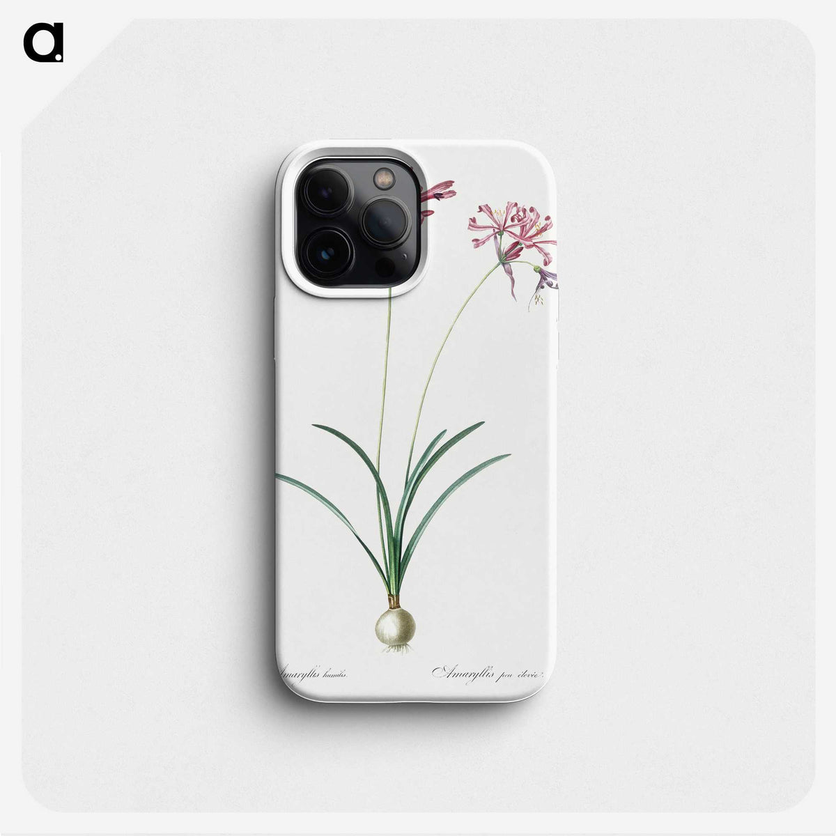 2-25_The-Lilies_phone