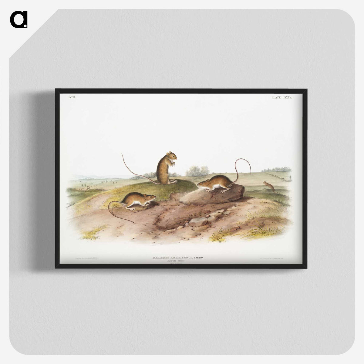 2-25_The-Viviparous-Quadrupeds_blk-crop