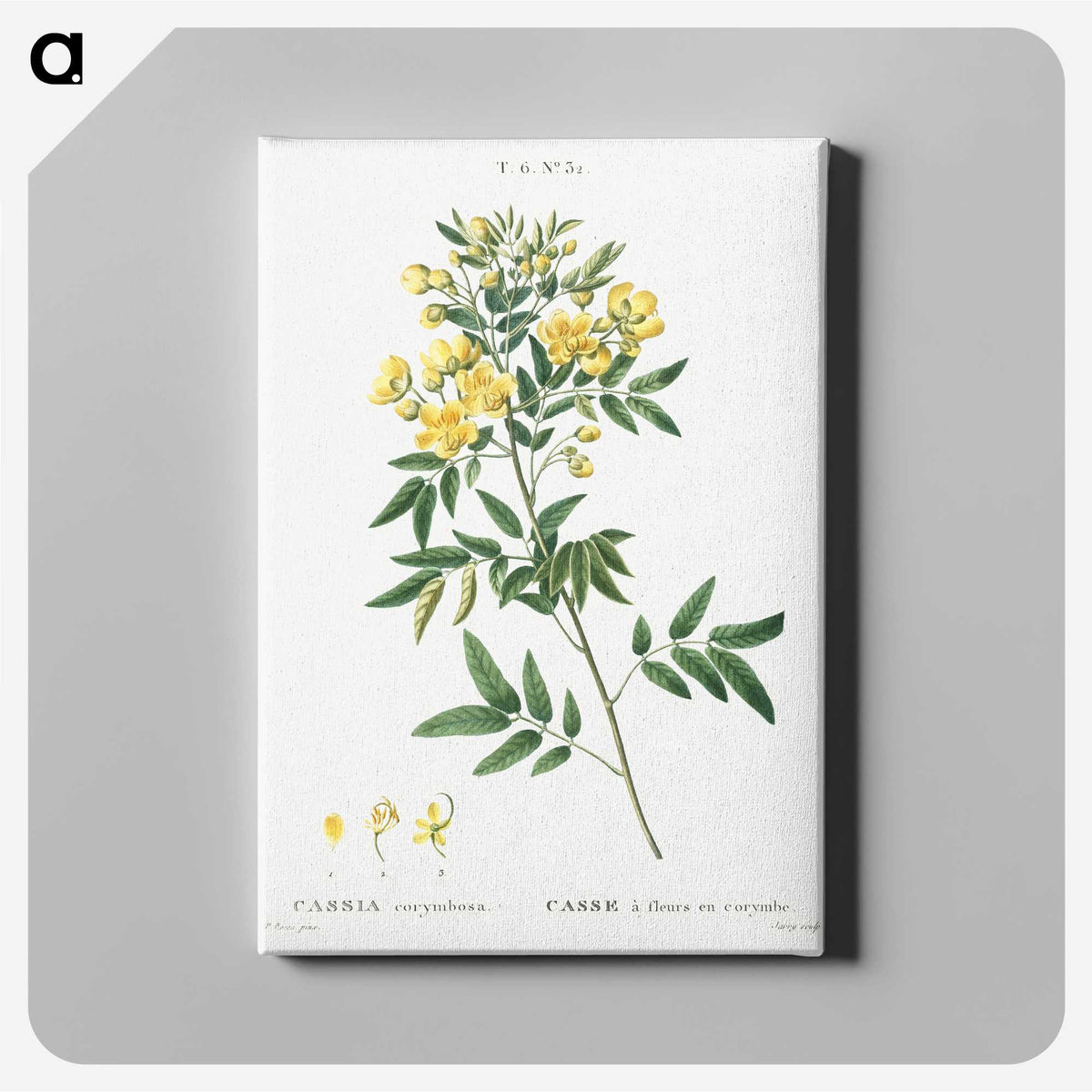 2-25_Treatise-on-Trees-and-Shrubs_canvas