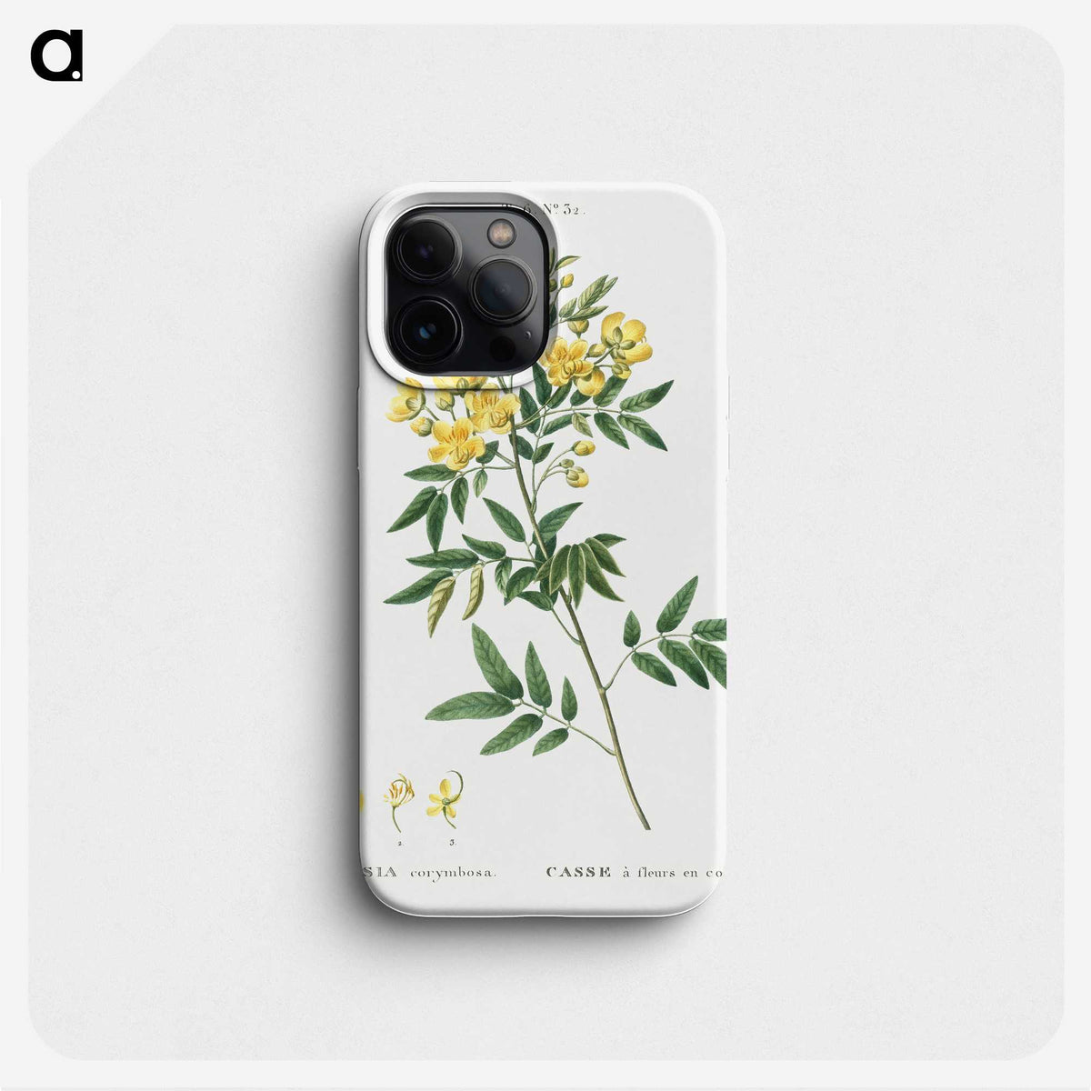 2-25_Treatise-on-Trees-and-Shrubs_phone