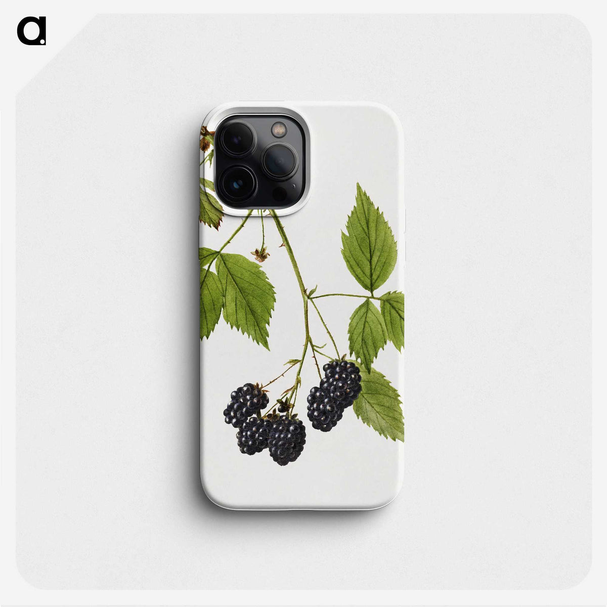2-25_USDA-Watercolor-Fruit-Painting-Collection_phone