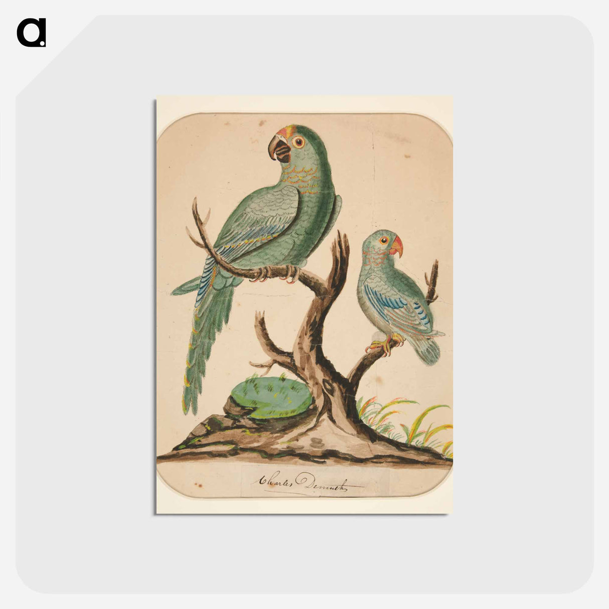 アートポストカード-Two Parrots on a Barren Tree
- イェール大学アートギャラリー Postcard.