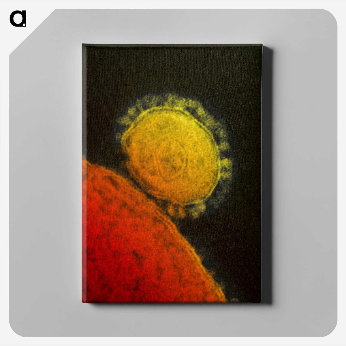 2-26_COVID-19_canvas