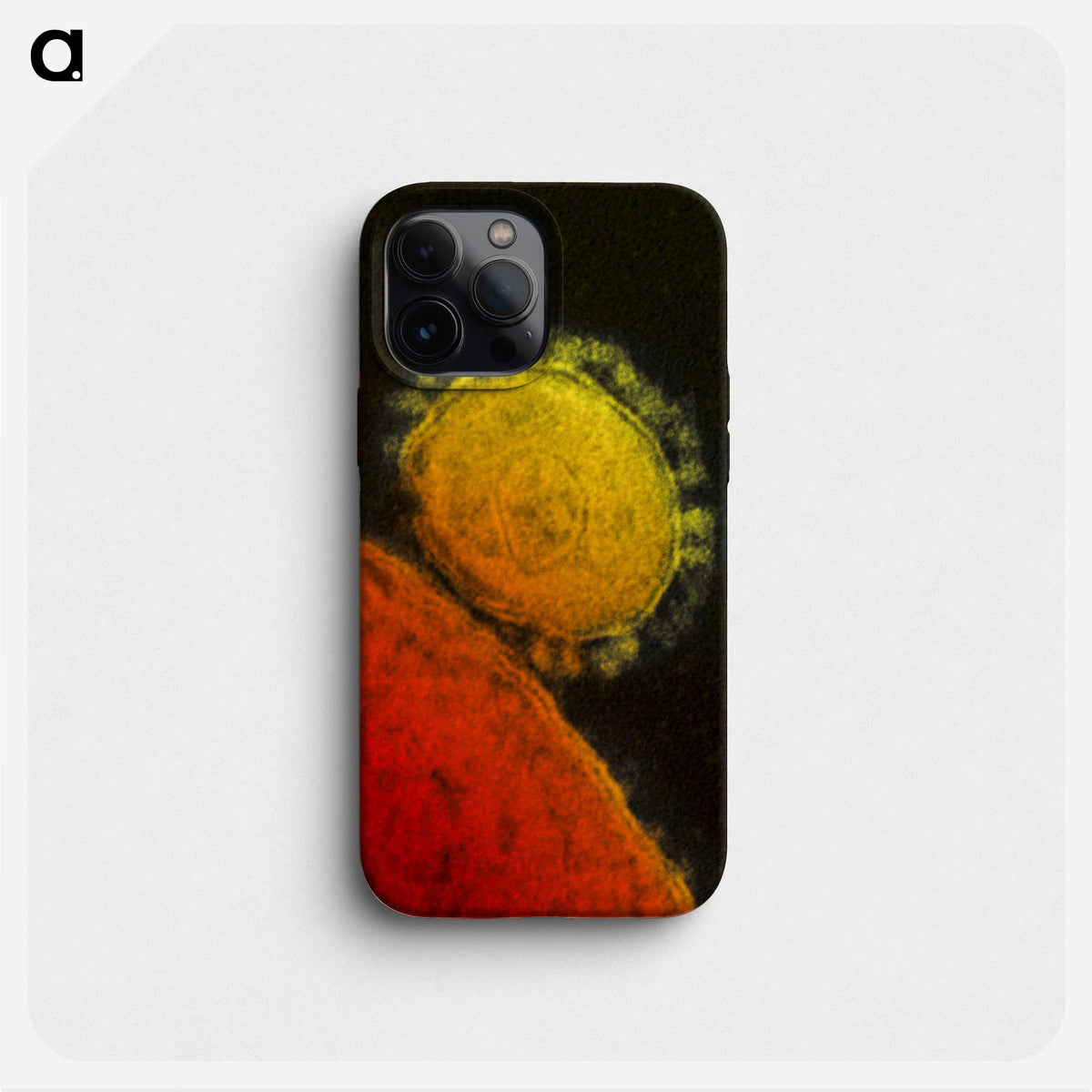 2-26_COVID-19_phone