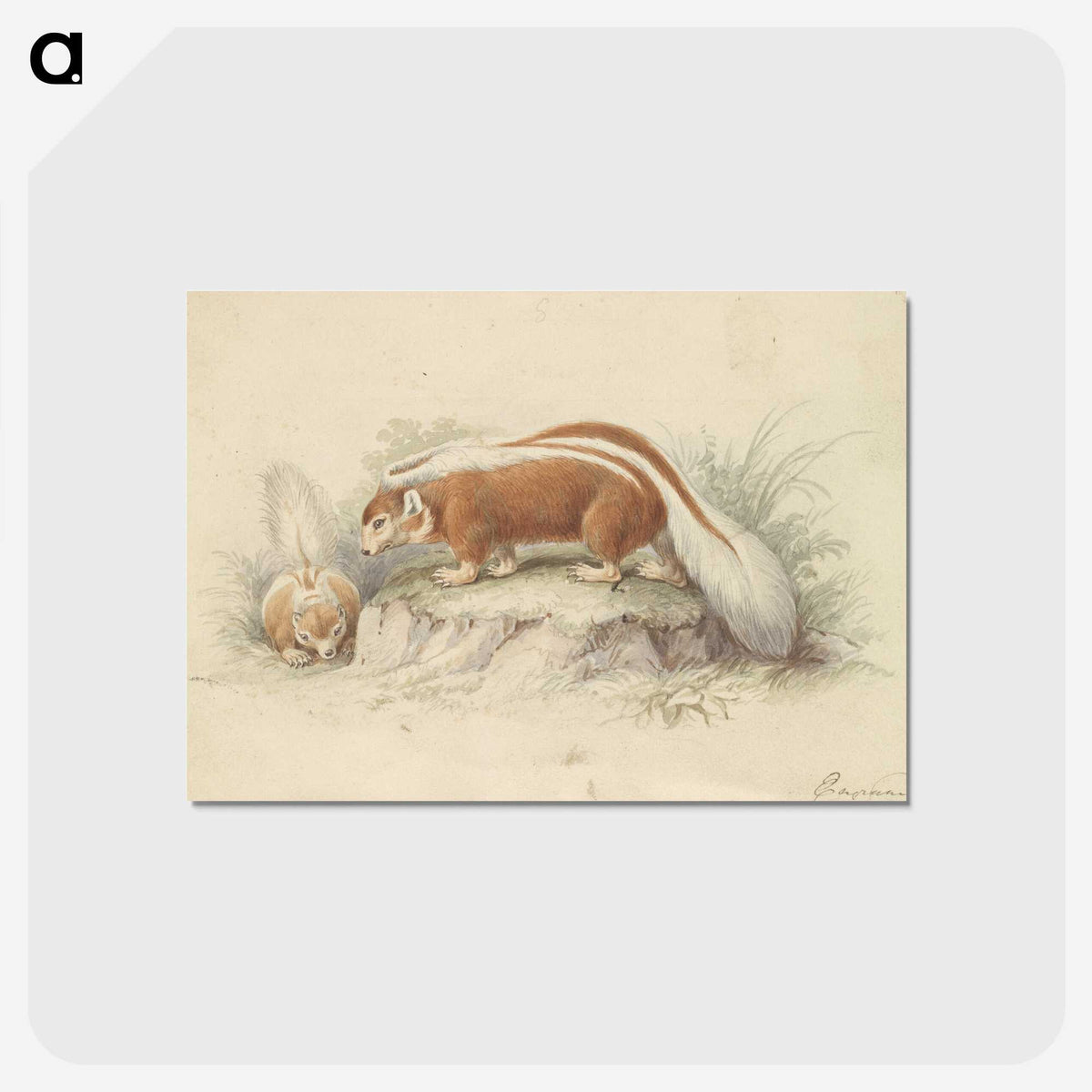 2-26_Charles-Hamilton-Smith_postcard