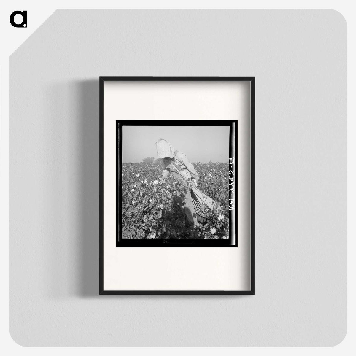 2-26_Dorothea-Lange_blk