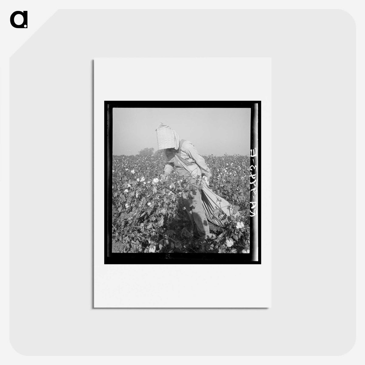 2-26_Dorothea-Lange_hagaki