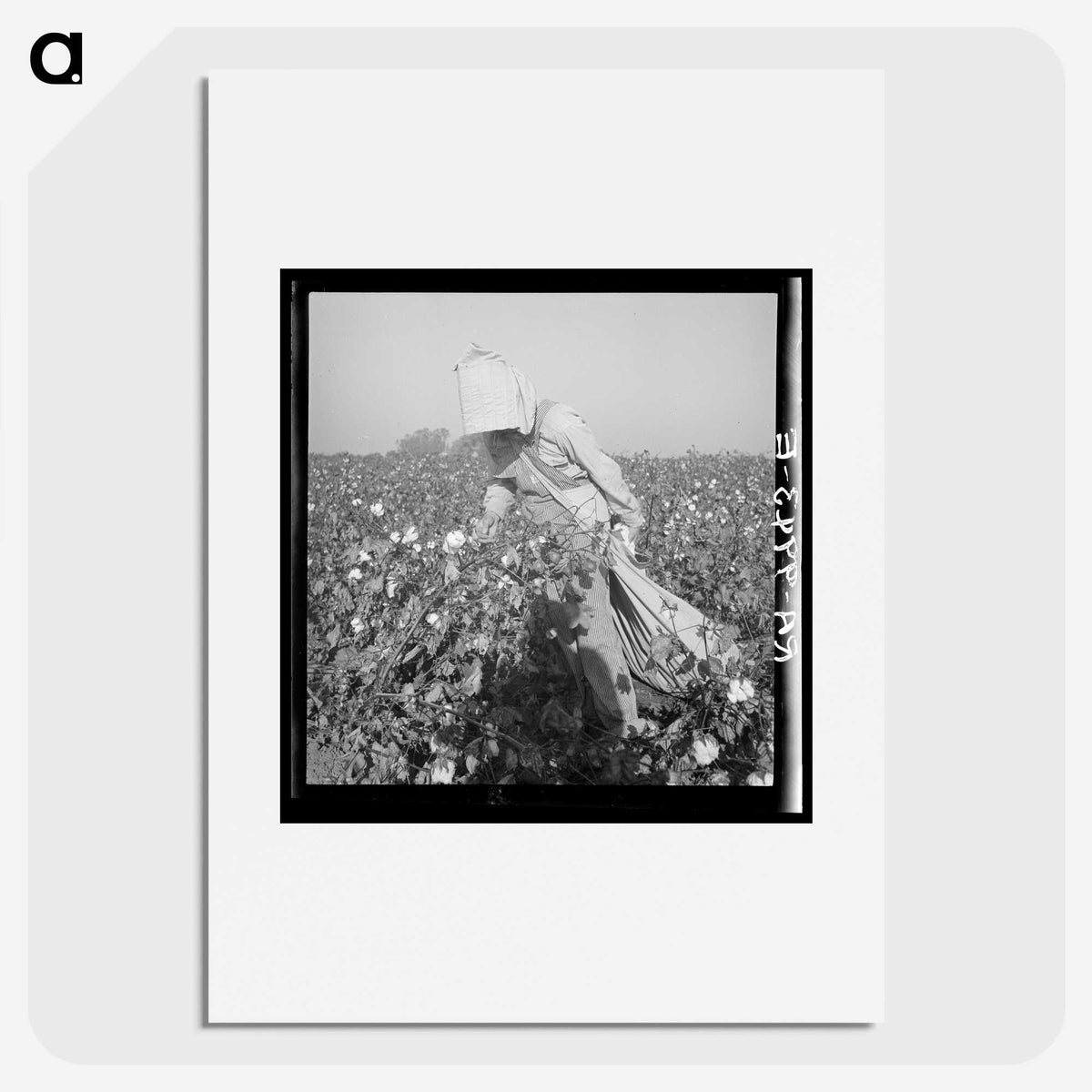 2-26_Dorothea-Lange_picture