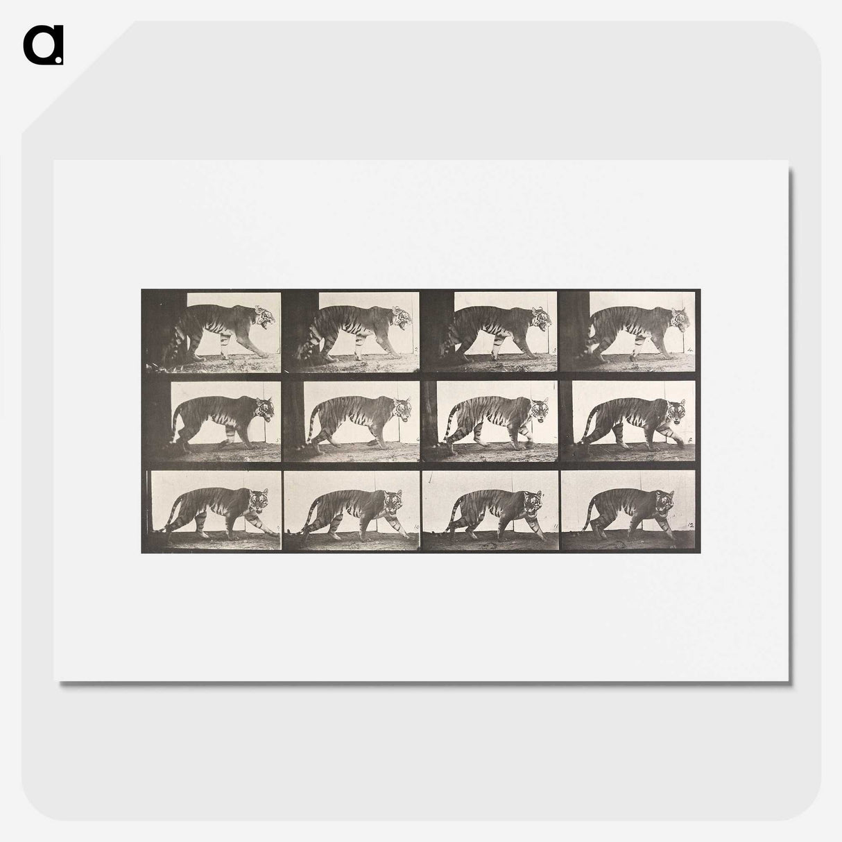 2-26_Eadweard-Muybridge_picture