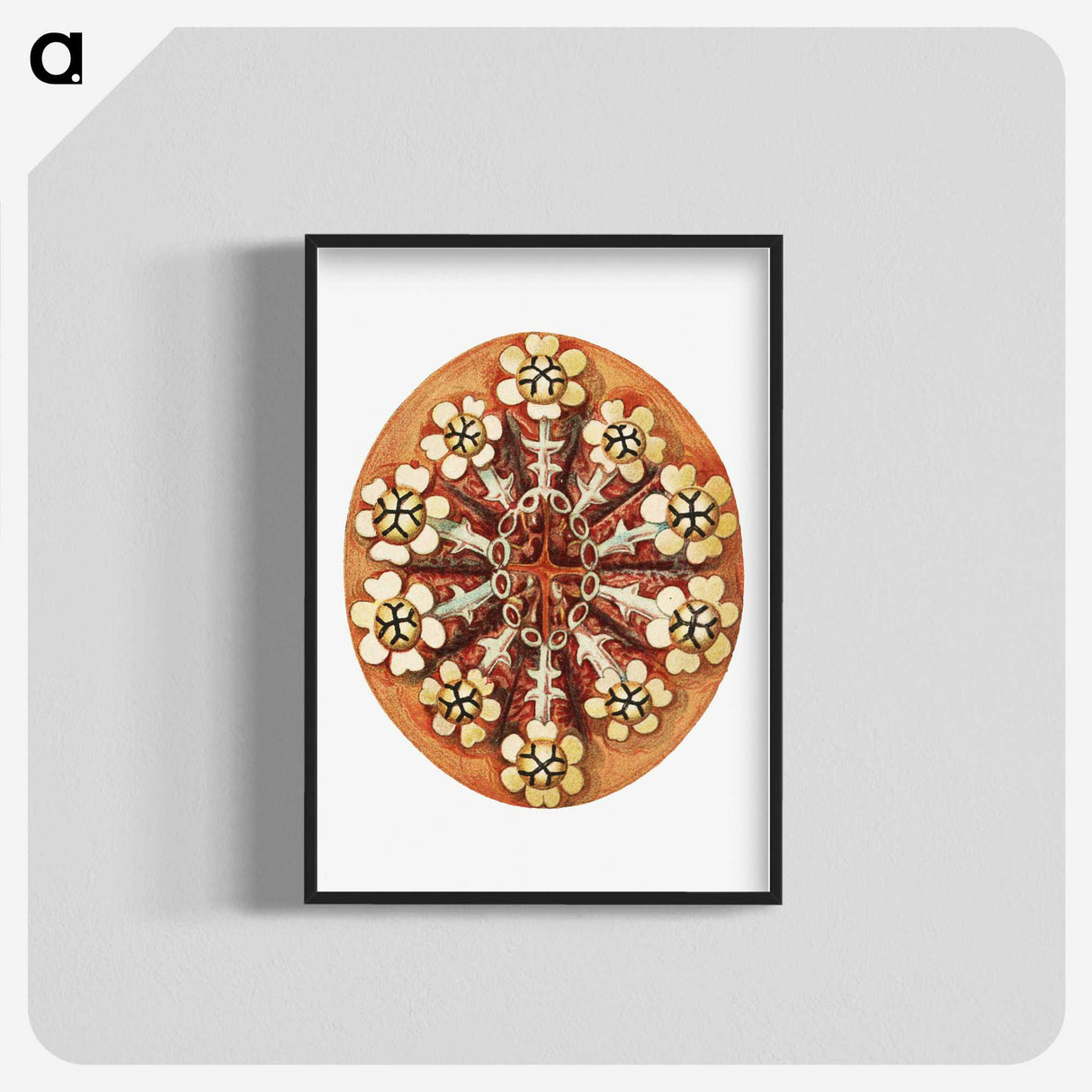 2-26_Ernst-Haeckel_blk-crop
