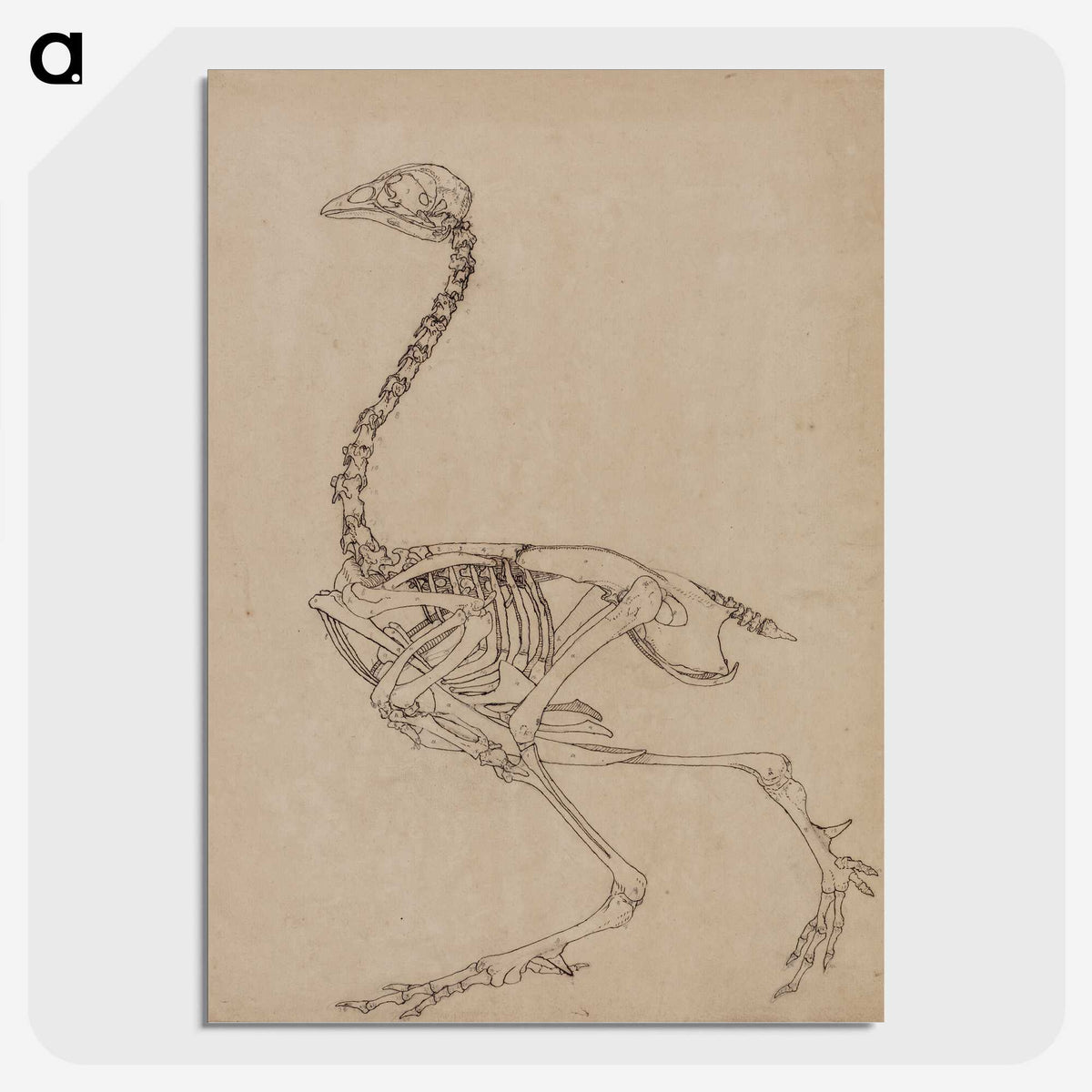2-26_George-Stubbs_picture-crop