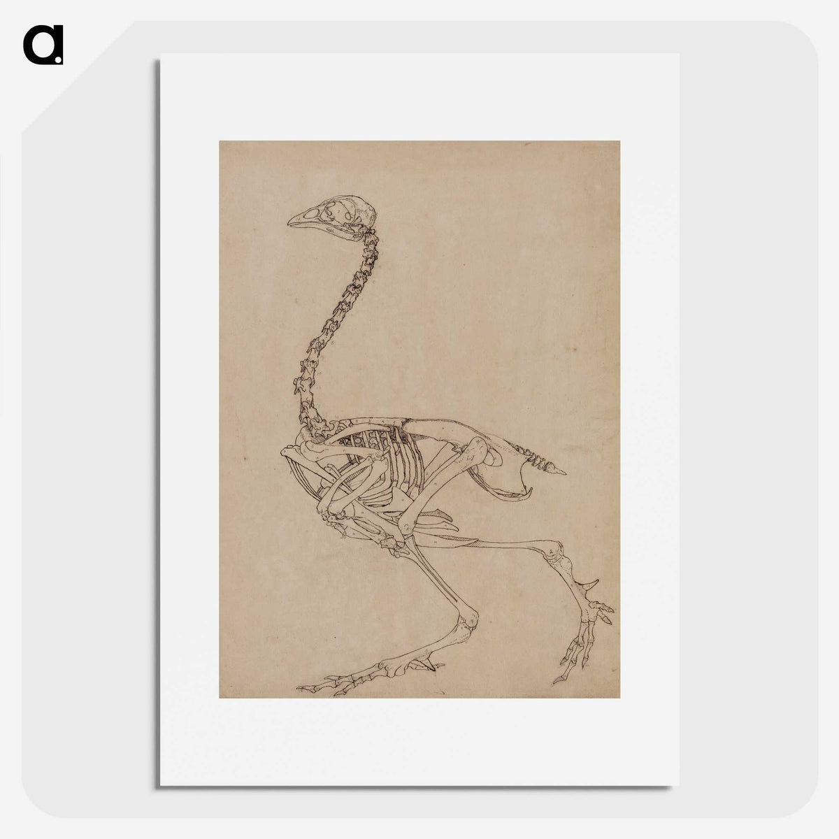 2-26_George-Stubbs_picture
