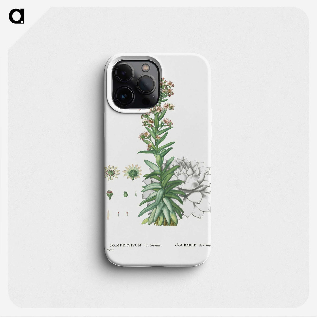 2-26_Histoire-des-Plantes-Grasses_phone