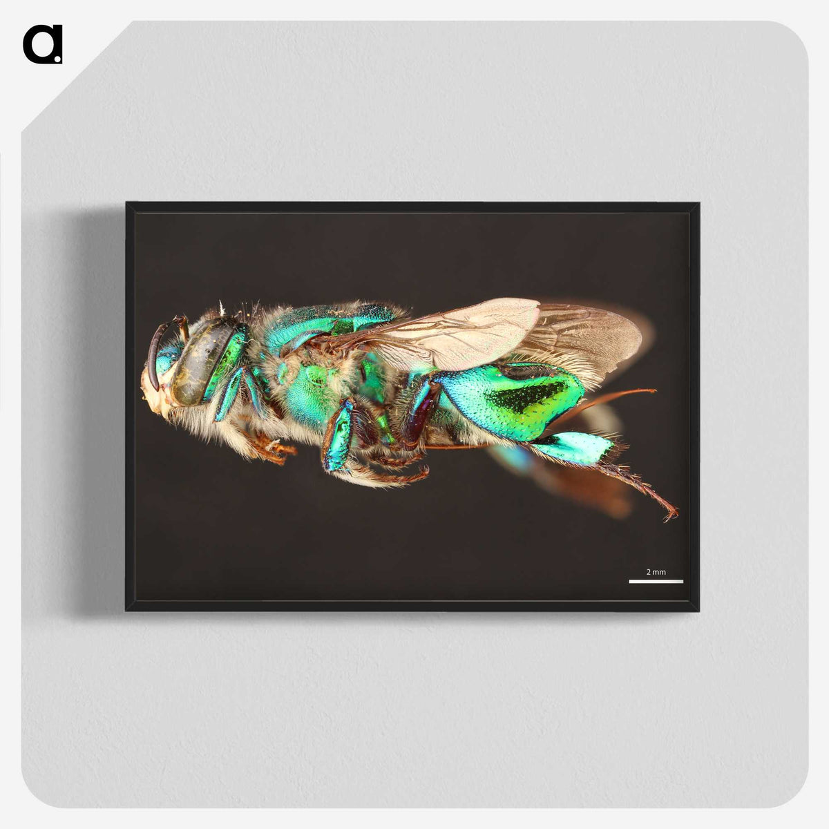 2-26_Insects-Unlocked-Project_blk-crop