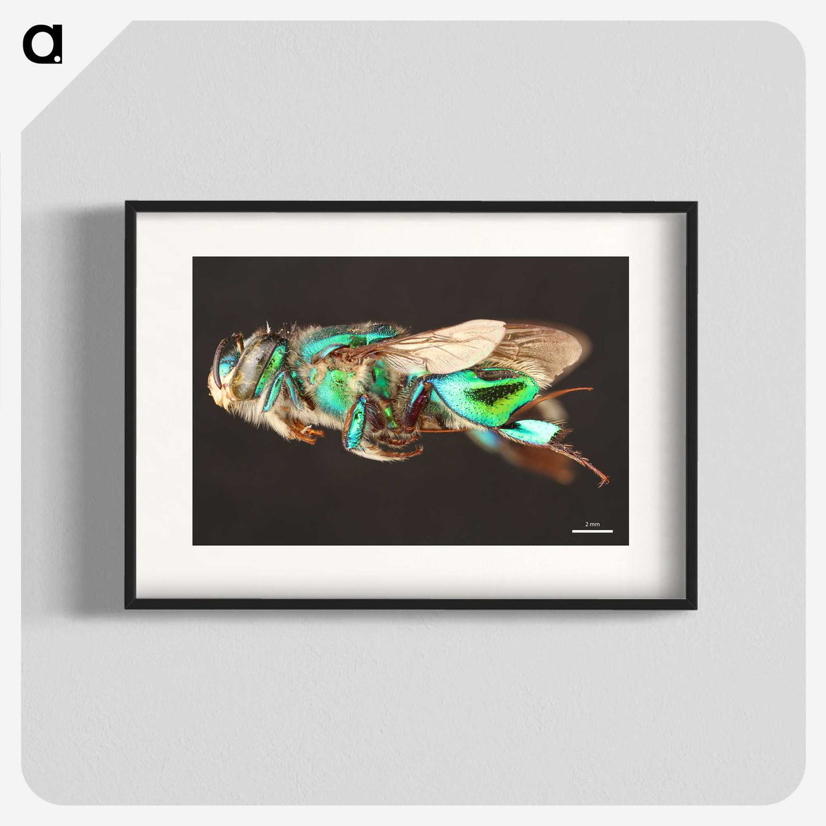 2-26_Insects-Unlocked-Project_blk