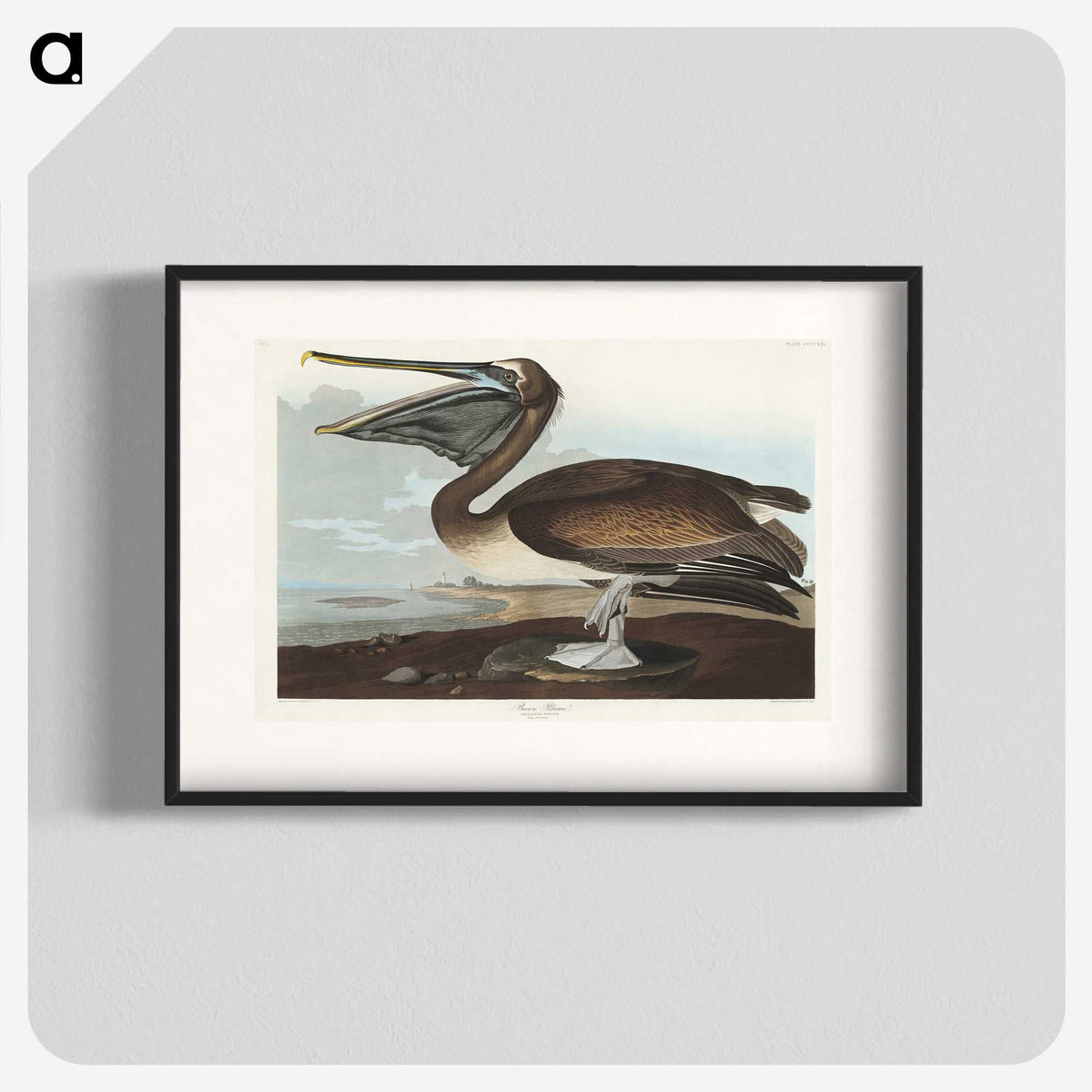 2-26_John-James-Audubon_blk