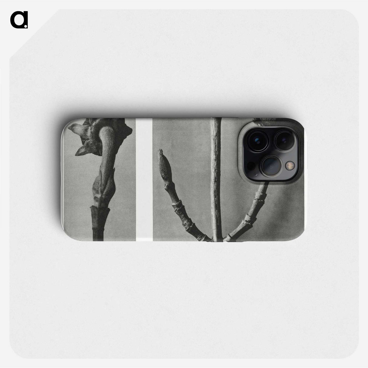 2-26_Karl-Blossfeldt_phone