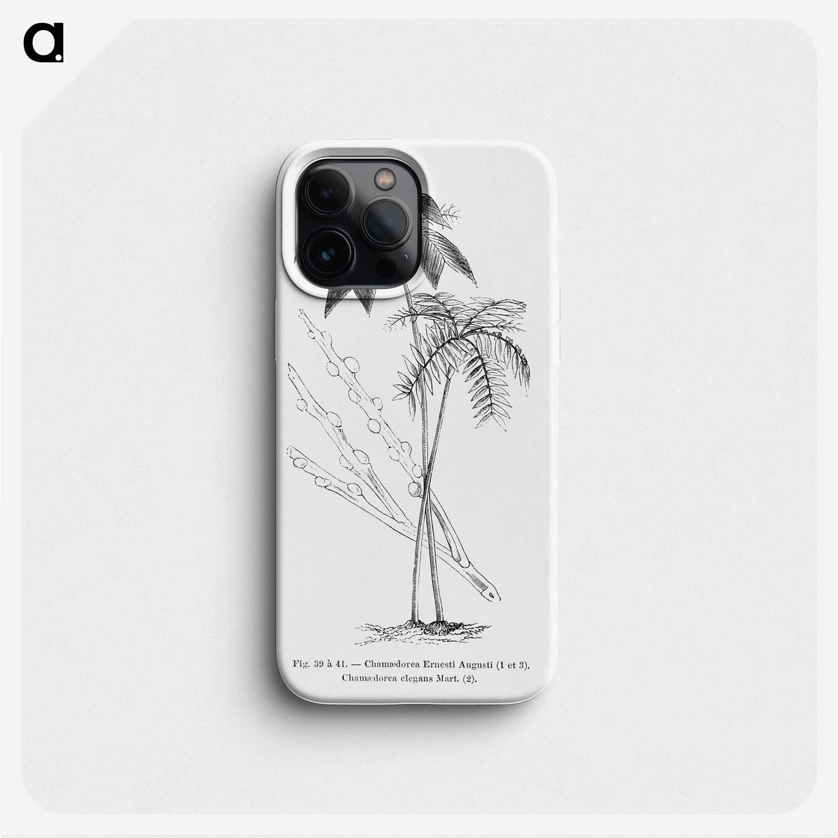 2-26_Les-Palmiers-Histoire-Iconographique_phone