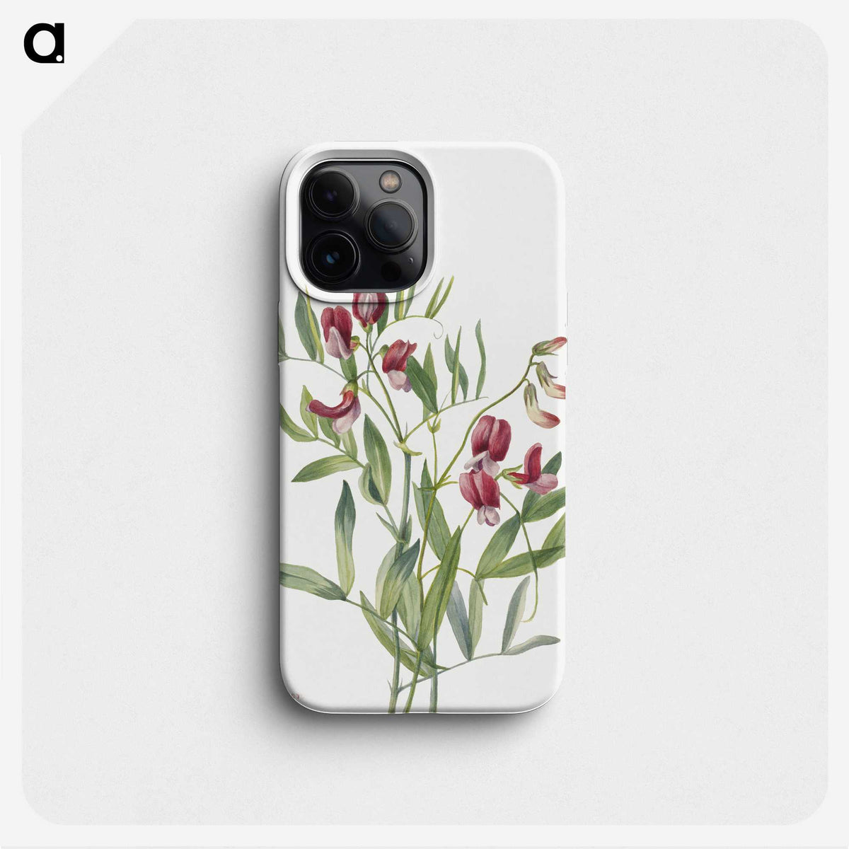 2-26_Mary-Vaux-Walcott_phone