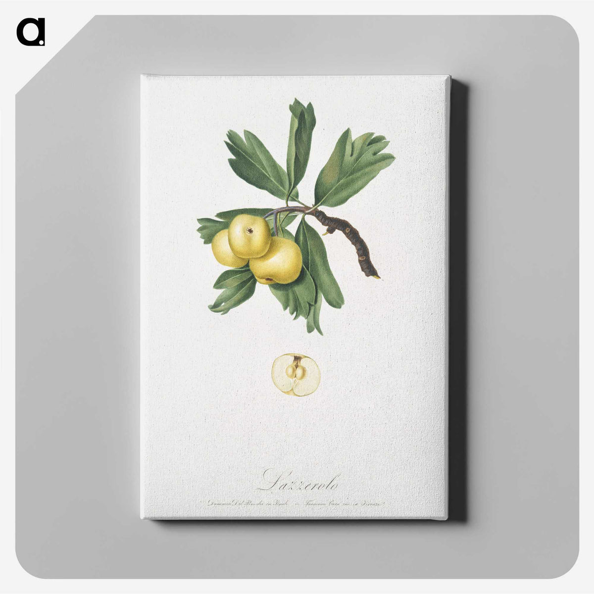 2-26_Pomona-Italiana_canvas