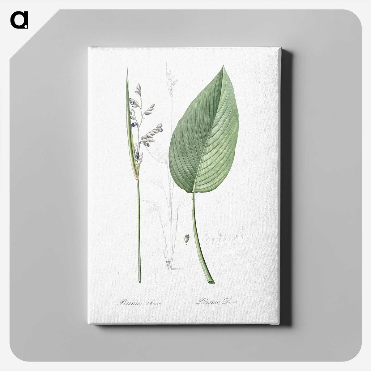 2-26_The-Lilies_canvas