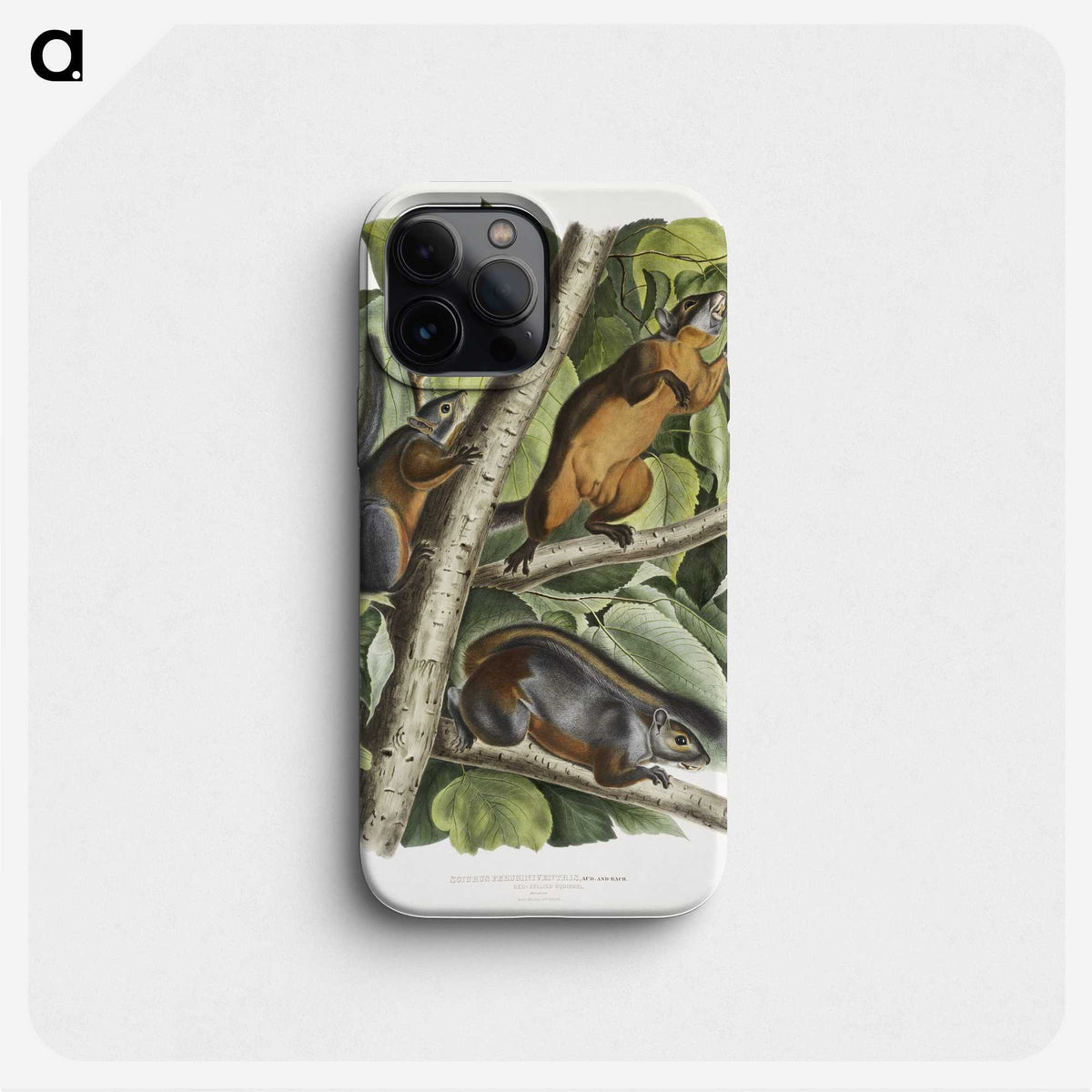 2-26_The-Viviparous-Quadrupeds_phone