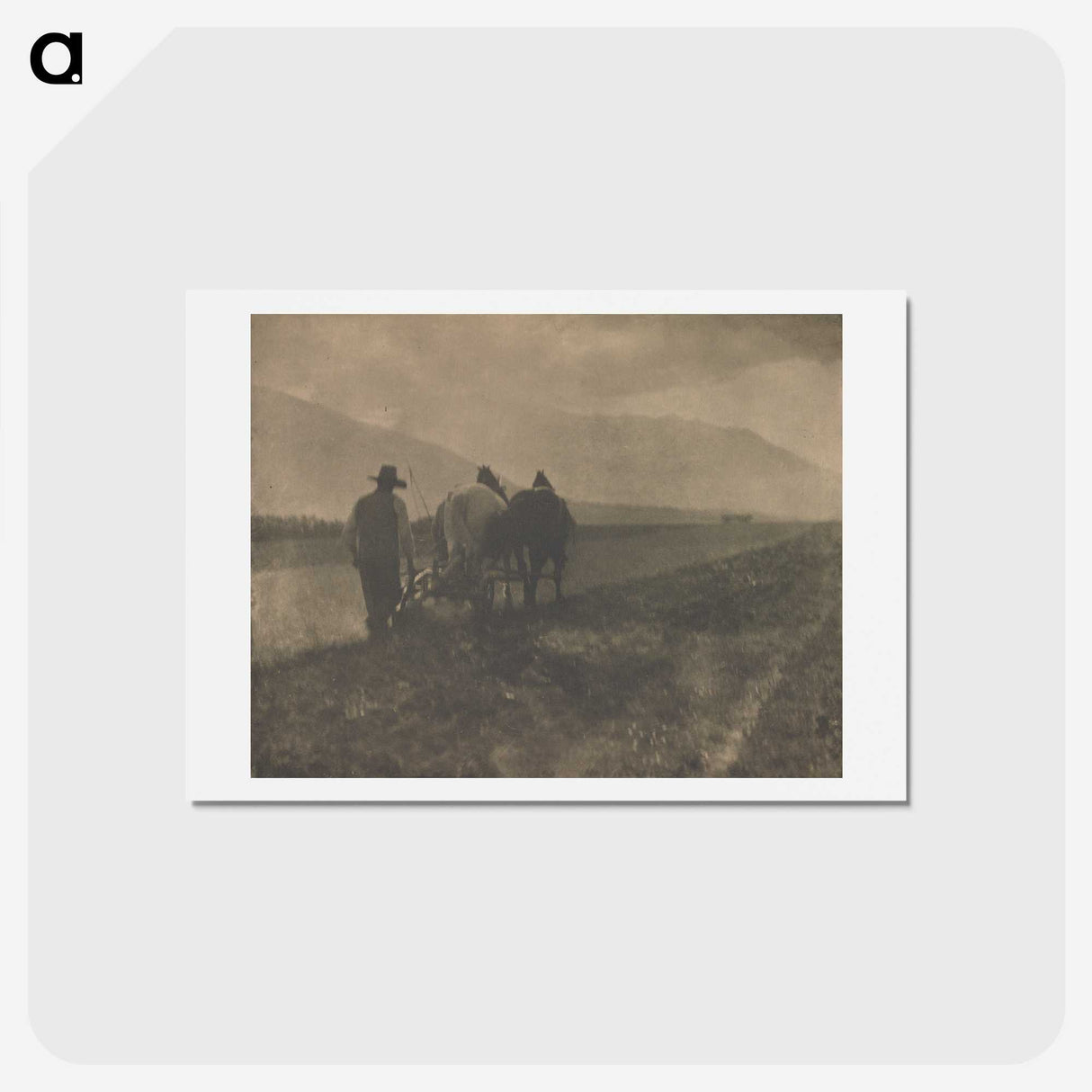 2-27_Alfred-Stieglitz_hagaki