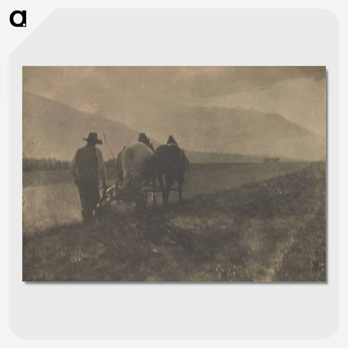 2-27_Alfred-Stieglitz_picture-crop