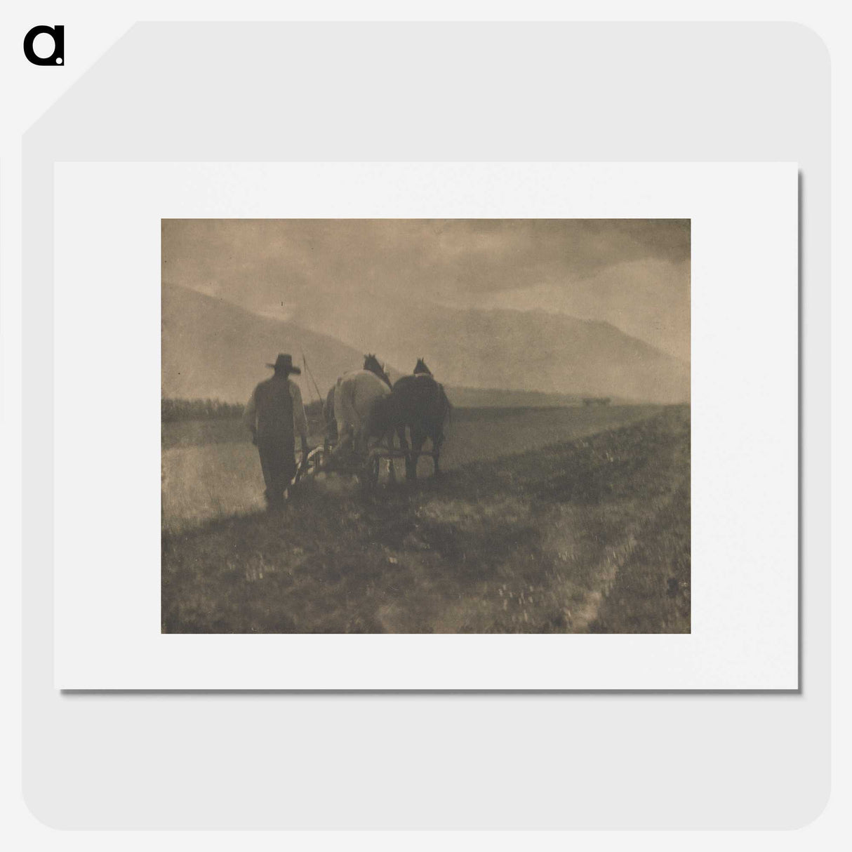 2-27_Alfred-Stieglitz_picture