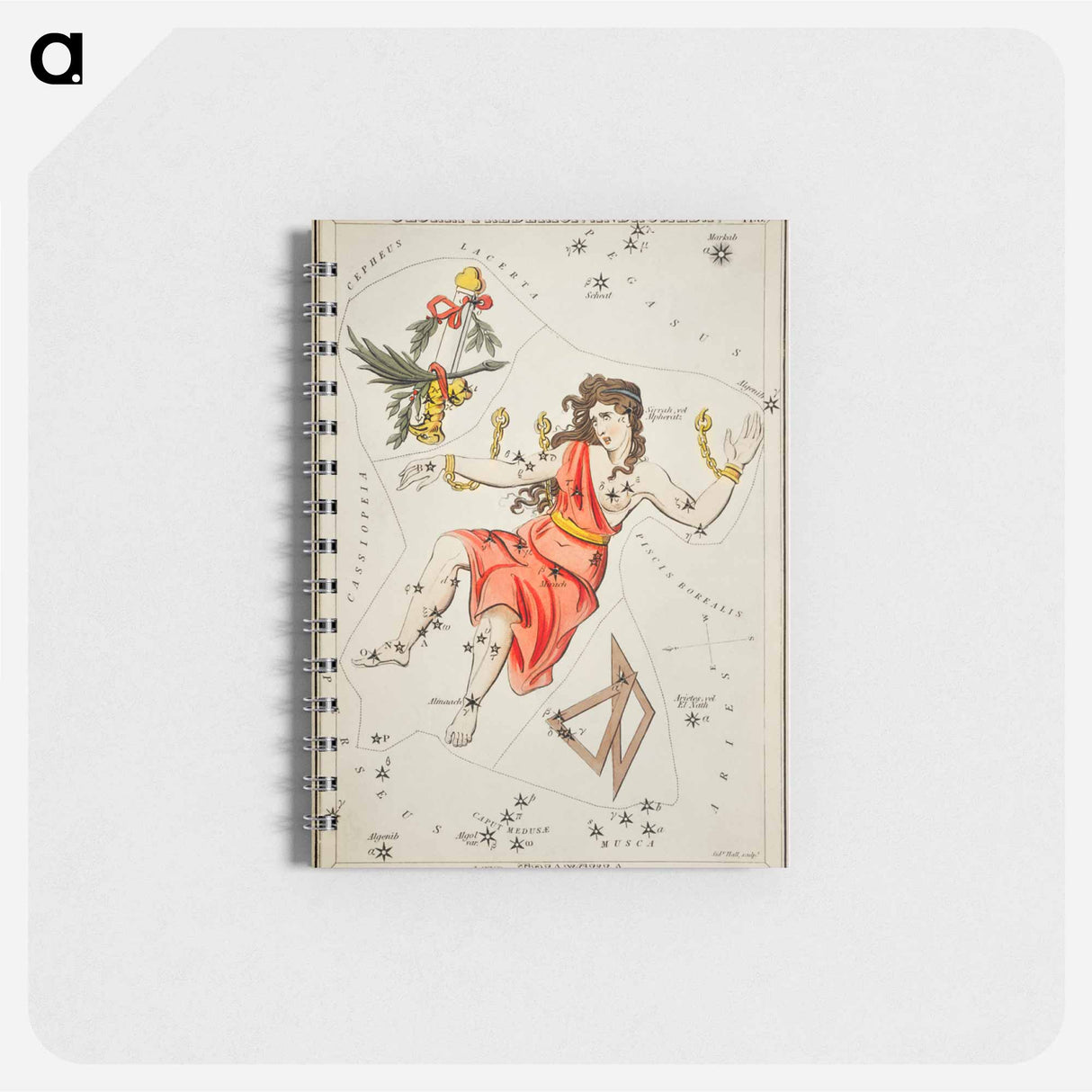 Gloria Frederici, Andromeda - アンティーク地図 Memo.