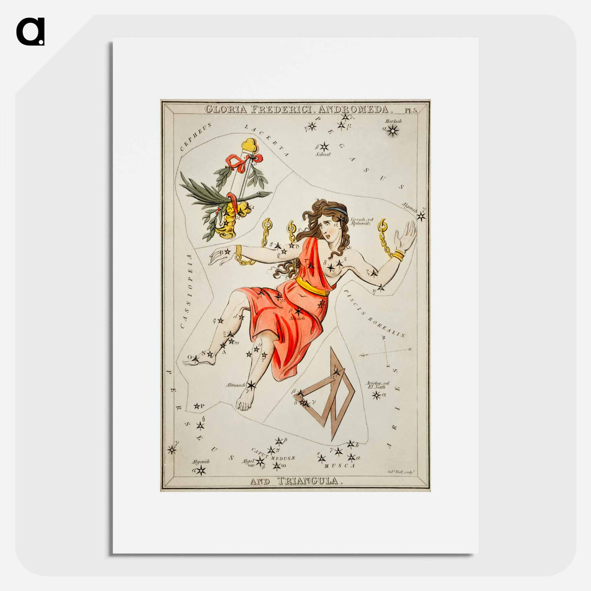 Gloria Frederici, Andromeda - アンティーク地図 Poster.