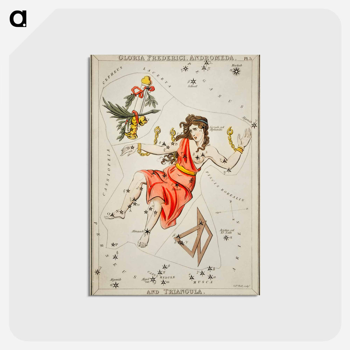 アートポストカード-Gloria Frederici, Andromeda - アンティーク地図 Postcard.