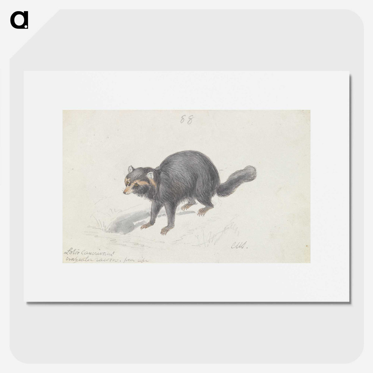 2-27_Charles-Hamilton-Smith_picture