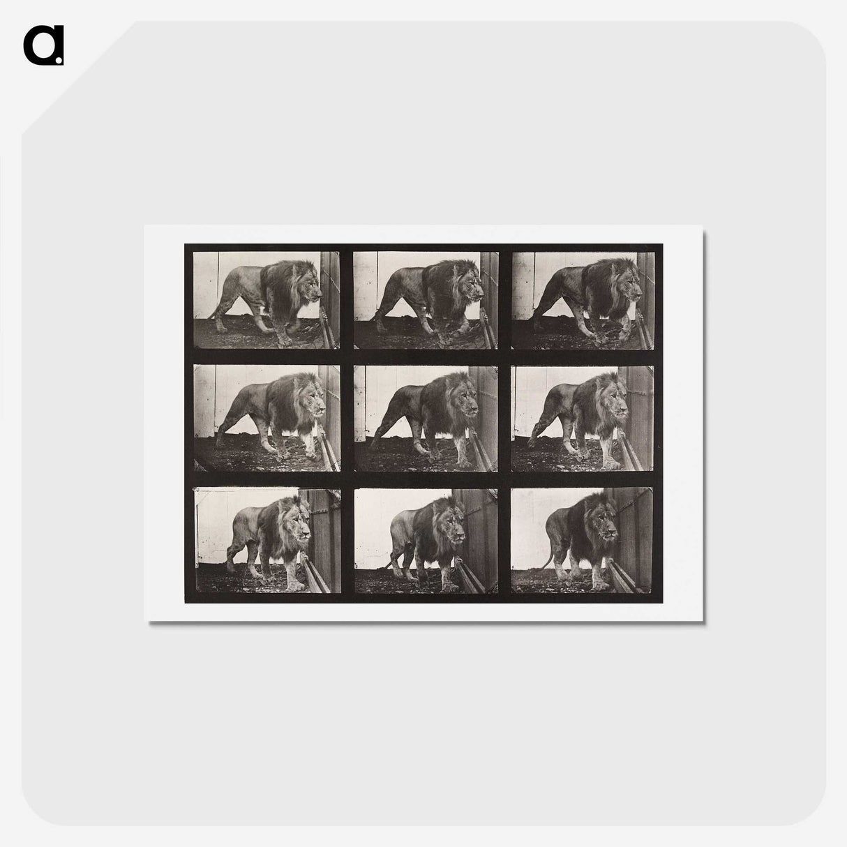 2-27_Eadweard-Muybridge_hagaki