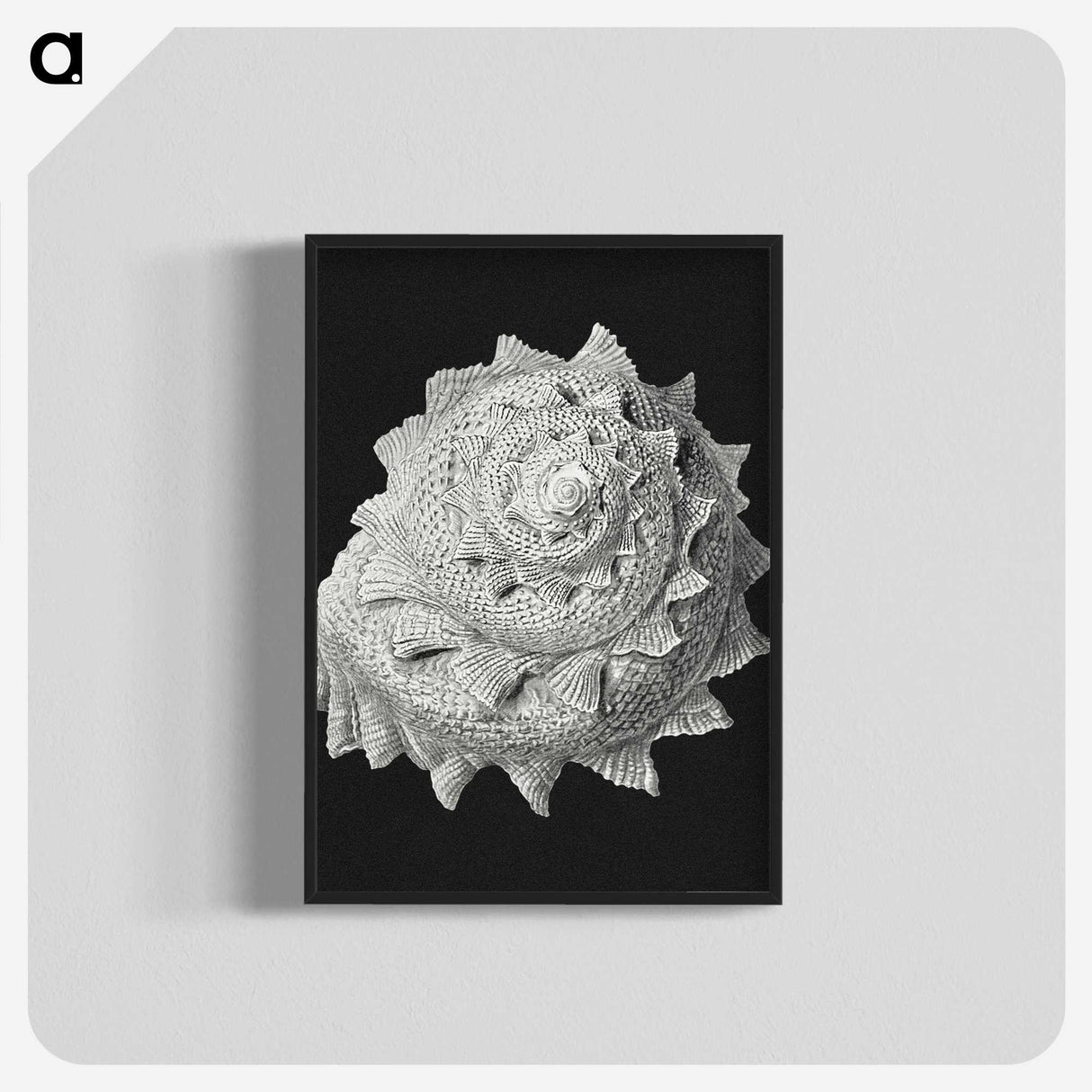 2-27_Ernst-Haeckel_blk-crop
