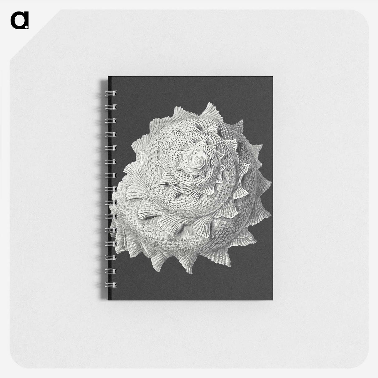 2-27_Ernst-Haeckel_memo