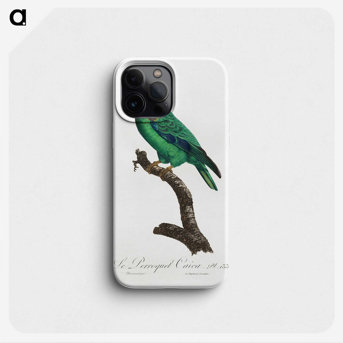 2-27_Francois-Levaillant_phone