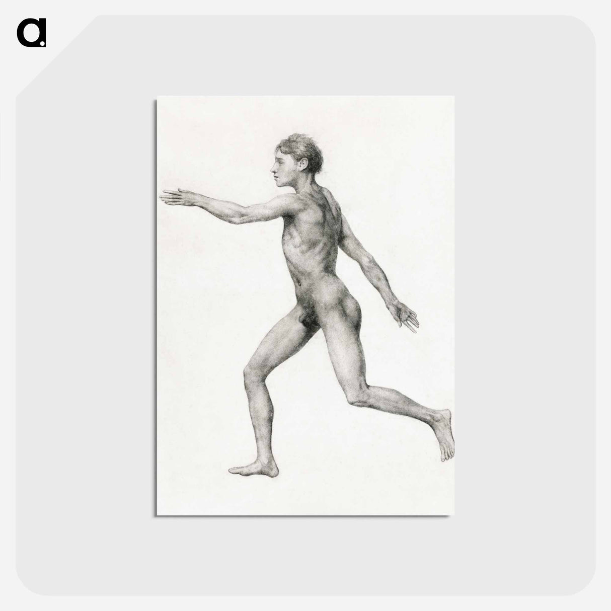 アートポストカード-Human Figure, Lateral View, Undissected
- ジョージ スタッブス Postcard.