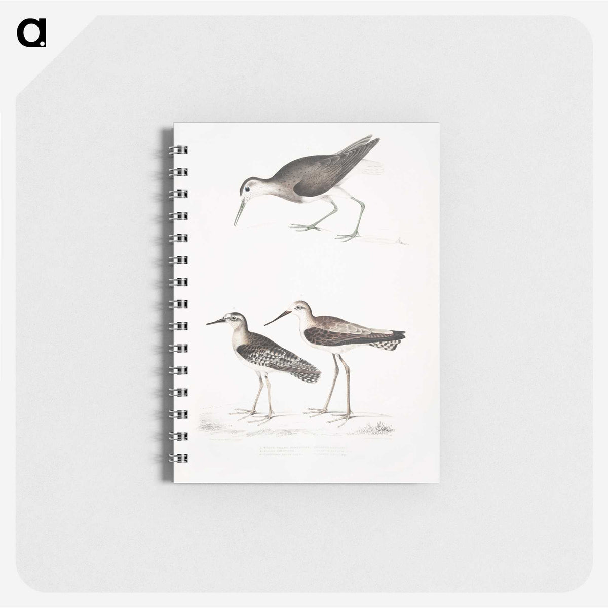 2-27_Indian-Zoology_memo