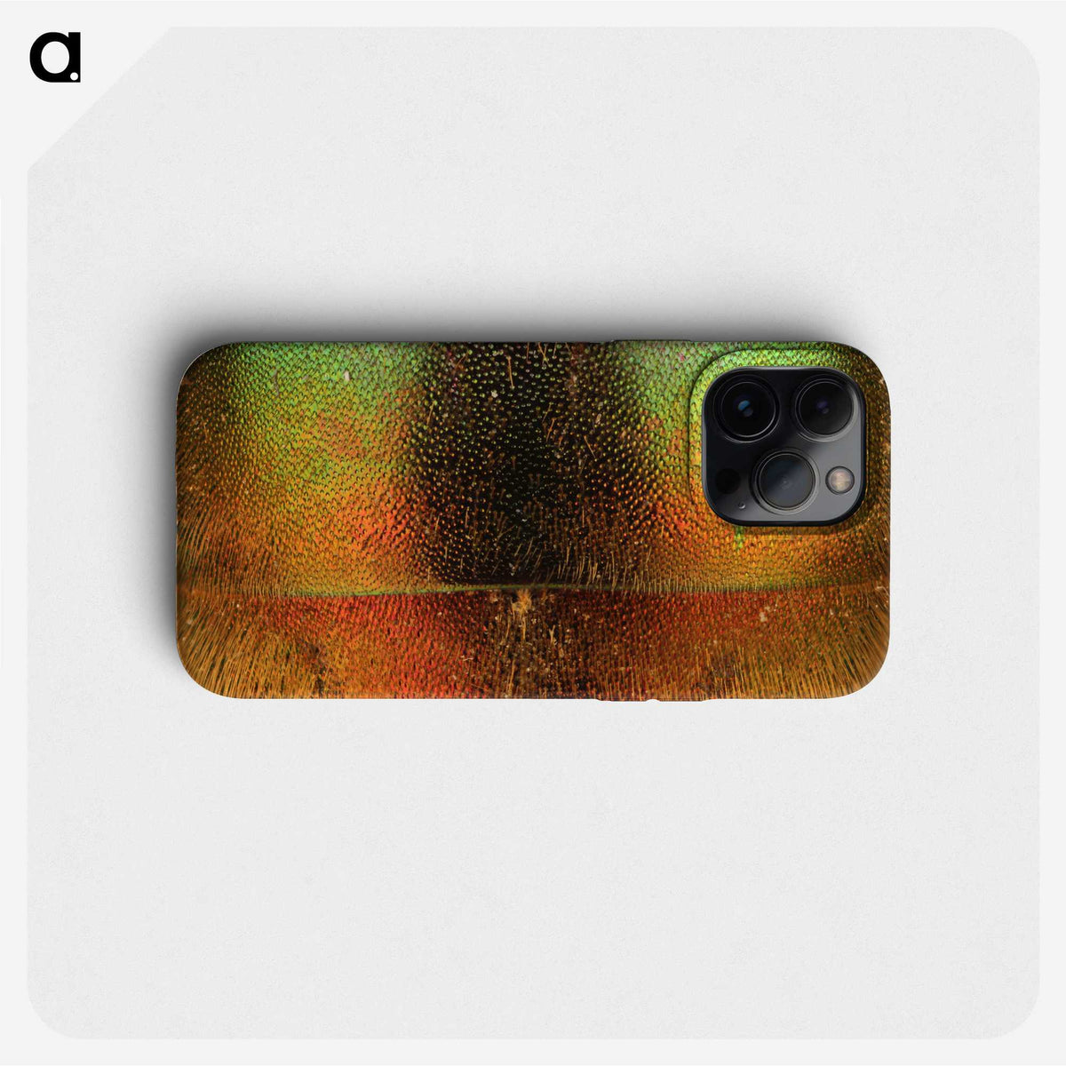 2-27_Insects-Unlocked-Project_phone