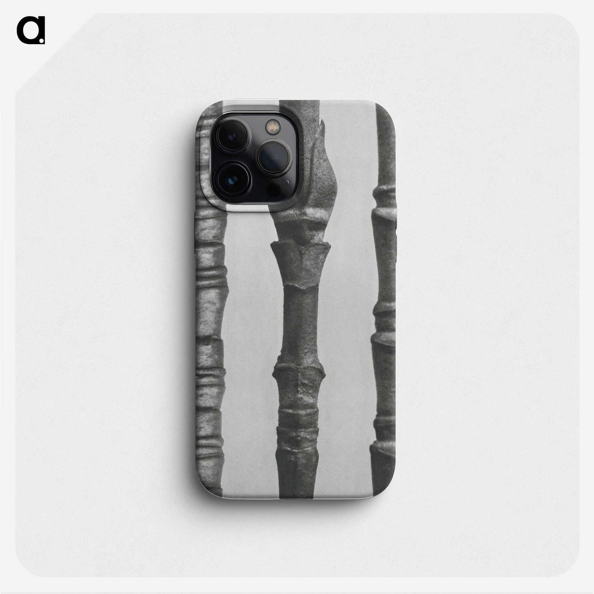 2-27_Karl-Blossfeldt_phone