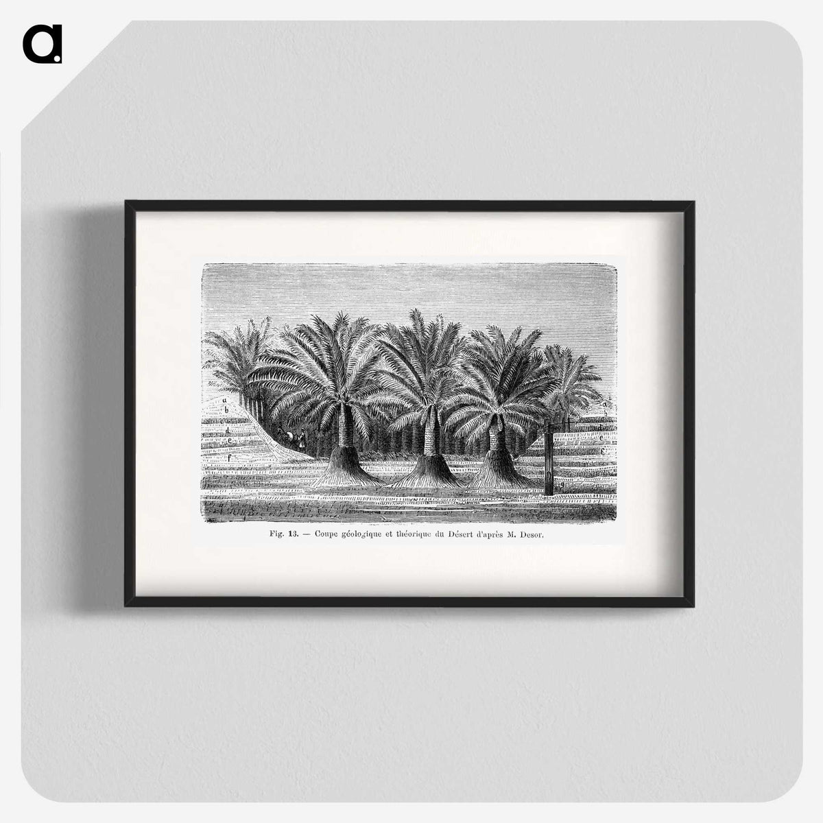 2-27_Les-Palmiers-Histoire-Iconographique_blk